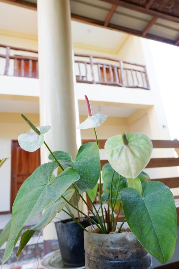 ג'נרל לונה Tlshaw Homestay מראה חיצוני תמונה